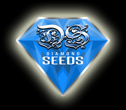 Diamond seeds